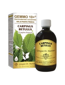 Dr. Giorgini Carpino Betulus Gemmo 10+ Analcolico 500ml