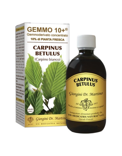 Dr. Giorgini Carpino Betulus Gemmo 10+ Analcolico 500ml