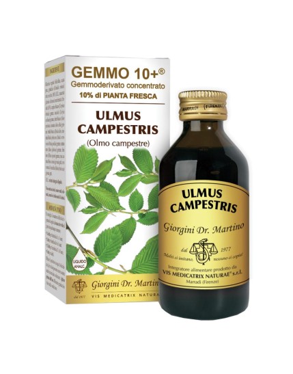 OLMO CAMP 100ml Analc.Gemme10+