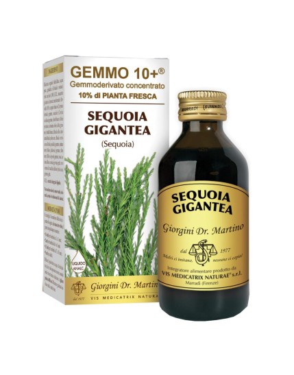 Dr. Giorgini Gemmo 10+ sequoia liquido analcolico 100ml