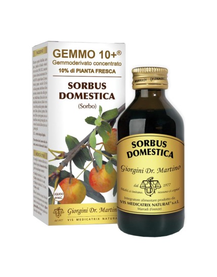 Dr. Giorgini Sorbo Analco Gemmo 10+ 100ml