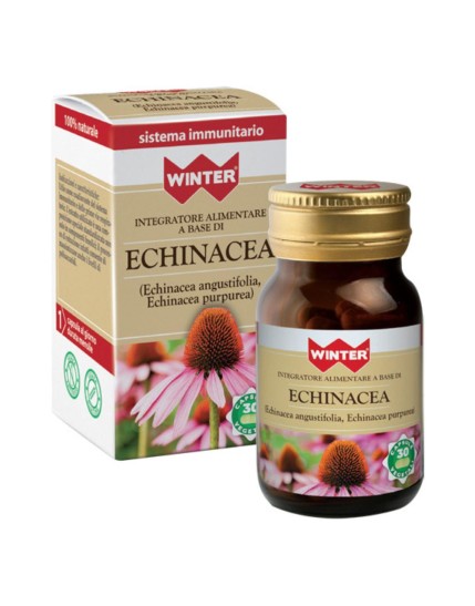 WINTER ECHINACEA 30CPS VEG