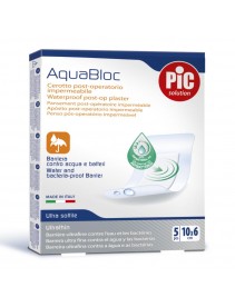 Cer Pic Aquabloc 10x6 5pz