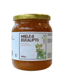 MIELE DI EUCALIPTO 500G