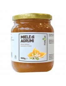 MIELE DI AGRUMI 500G