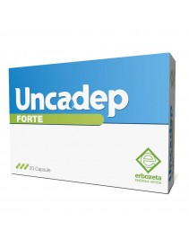 UNCADEP Fte 20 Cps