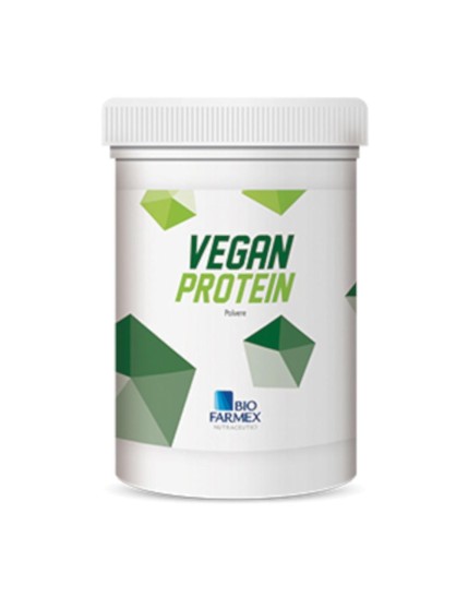 Vegan Protein 500g
