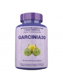 Garcinia30 60cps 29,4g