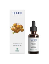 Sorbo Gemmoderivati 50ml
