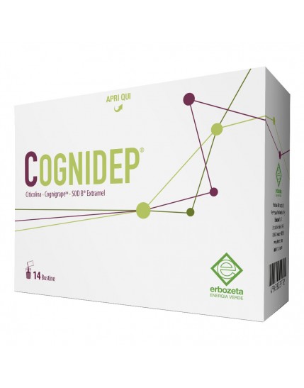 COGNIDEP 14 Bust.