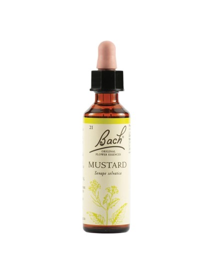 Loacker Schwabe Bach Mustard Gocce 20 ml