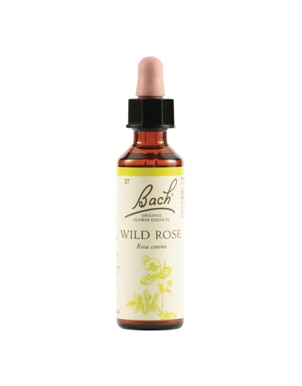 BACH 37 Wild Rose 20ml