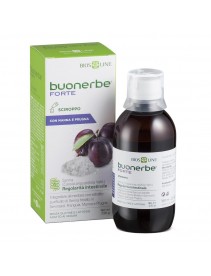 BUONERBE Fte Sciroppo 180ml