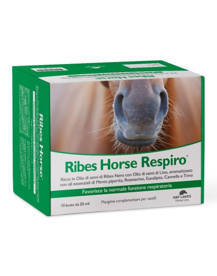 RIBES HORSE RESPIRO 10BUST