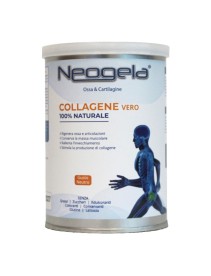 NEOGELA POLVERE 150G