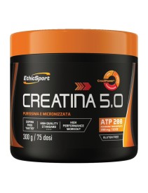CREATINA 5.0 300G CREATINA 5.0 300G