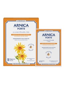 ARNICA Fte Cerotti 5pz     ERM