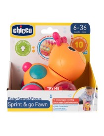 CH Gioco BSF Cerbiatto 6-36m