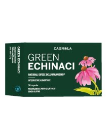 GREEN ECHINACI 36CPS GREEN ECHINACI 36CPS