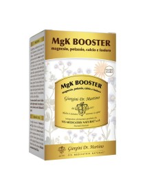 MGK BOOSTER POLVERE 360GR N/F MGK BOOSTER POLVERE 360GR N/F