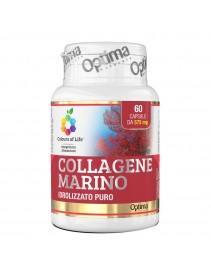 Colours of Life Collagene 60 Capsule