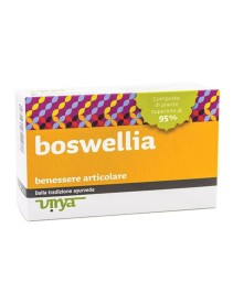 BOSWELLIA VIRYA 60CPR