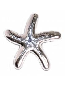 Metal Sea Star