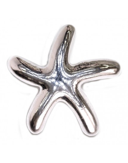 Metal Sea Star