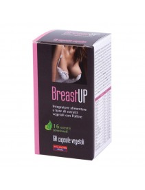 Breast Up 60 Capsule