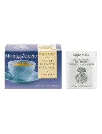 MORINGA ZENZERO BIO 20BUST