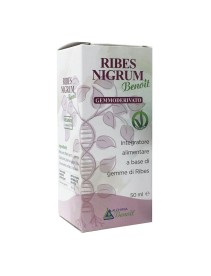 RIBES NIGRUM GD 50ML