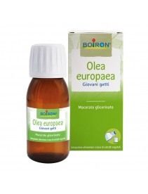 Boiron Olea europaea Macerato Glicerico 60ml