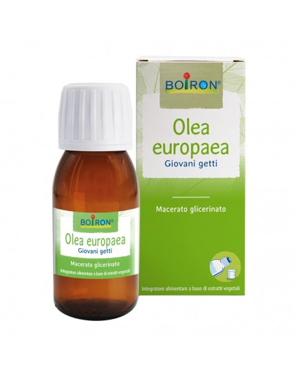 Boiron Olea europaea Macerato Glicerico 60ml