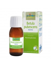 BO.BETULA PUB.MG I 60ml