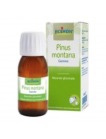 BO.PINUS MONT.MG 60ml