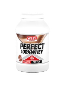 PERFECT 100%WHEY CACAO 900G