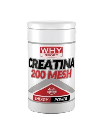 WHYSPORT CREATINA 200 MESH500G