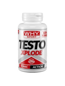 WHYSPORT TESTO XPLODE 90CPR NF WHYSPORT TESTO XPLODE 90CPR NF