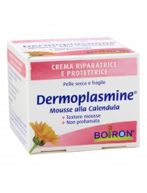 Dermoplasmine Mousse 20g