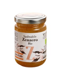 ZENZERO SPALMABILE 750G