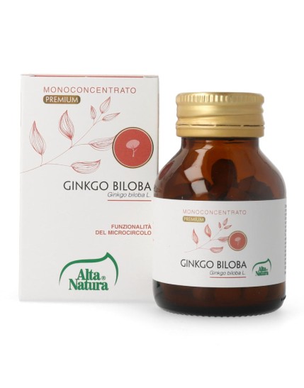 GINKGO BILOBA 100CPR 900MG