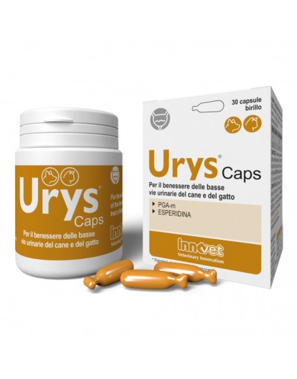 Urys Caps 30 Capsule