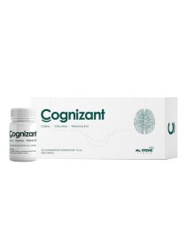 COGNIZANT 10FL.