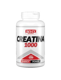 WHYSPORT CREATINA 1000 240CPR