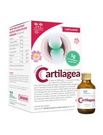 Salugea Cartilagea 18 Flaconcini