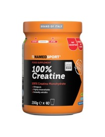 Named Sport 100% Creatine Monohydrate Integratore 250g