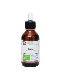 SORBO MG BIO 100ML