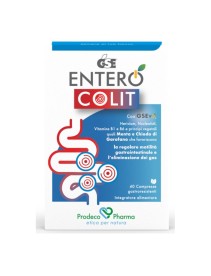 GSE ENTERO COLIT 40 Cpr