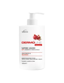 DERMOLINE Melogr.Sap.Liquido