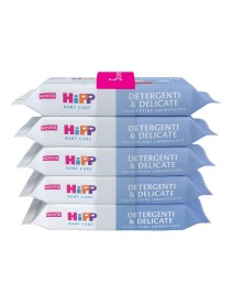 HIPP SALVIETTINE DET&DEL 5X48P